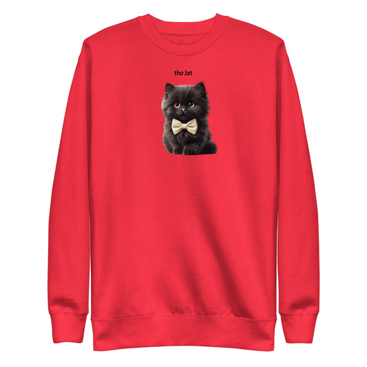 Flatlay of red relaxed fit unisex hoodie with a cute graphic of a Jet black kitten wearing a bow-tie and the words 'the Jet' linking to Black hair. Branded RedBlonde in red on inside neck and right cuff