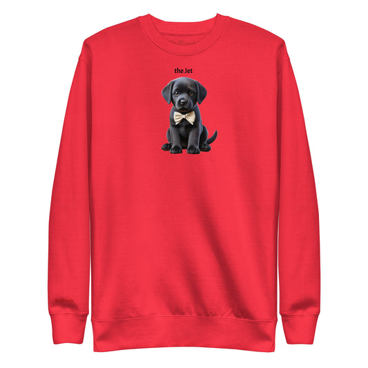 Flatlay of red relaxed fit unisex sweatshirt with a cute graphic of a Jet black puppy wearing a bow-tie and the words 'the Jet' linking to Black hair. Branded RedBlonde in red on inside neck and right cuff